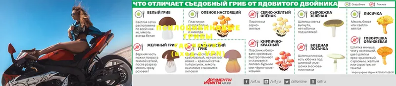 Псилоцибиновые грибы Psilocybine cubensis  дарнет шоп  Ельня 